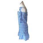 VICI NWOT  Carmella Smocked Gingham Tie Strap Picnic Dress Blue XL Photo 2