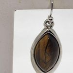 Lia Sophia Fawn Tiger's Eye Stone Dangling Earrings Photo 1