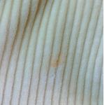 Lucy Paris  Butter Yellow Corduroy Wide Leg Pant size Medium Photo 4