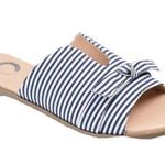 Journee Collection  Lillian Blue Stripe Flat Slide Sandal Size 8 New Photo 0
