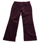 Talbots Plum Velvet Signature Boot Pants Size 6P Photo 5