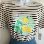 Talbots Talbot’s Summer in Italy Almalfi Coast Striped Lemon Graphic Tee Sz Small NWT Photo 6