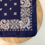 Vintage 90s USA Made Blue Mushroom Print Square Cotton Bandana Neck Tie Photo 0