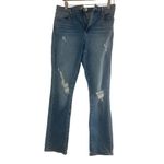 Articles of Society ✨ Rene Sz 26 Denim✨ Photo 4