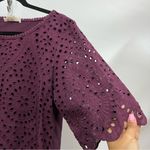 Porridge for Anthropology M plum purple Elegant eyelet Lace Women's Top boho Size M Photo 8