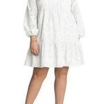 Adyson Parker Long Sleeve Cotton Eyelet Dress in Cloud White Photo 0