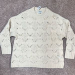 American Eagle  Outfitters Crochet Sweater Photo 0