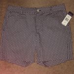 CHAPS NWT  Ladies size 12 navy/white print shorts Photo 0