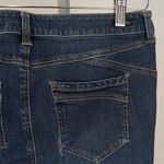 Liverpool Jeans Company  Women's Deep Indigo Skinny Jeans Photo 3