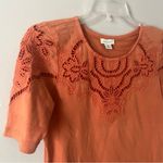 Sundance  Terracotta Lace Embroider Accent Short Sleeve Oversize Top XS Photo 2