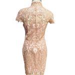 Tadashi Shoji  - High Neck Lace Knee Length Dress  Size 8 Photo 8