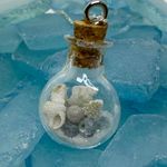 Sweet Lemons Real Miniature Seashells in a Glass Bottle Necklace Photo 2