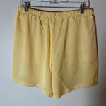 Scotch & Soda Elastic Waist Drawstring Shorts Size Large in Golden Haze NWT Photo 5