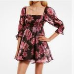 Thirty/Thirty LA  Floral Organza Babydoll Dress Sz L Photo 0