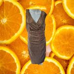 Ralph Lauren Lauren  Brown V Neck Cinched Side‎ Dress Size 10 Photo 1