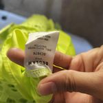 Beulah NWOT  neon yellow green crochet lace maxi dress size S Photo 3