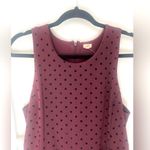 J.Crew Burgundy Maroon Fit & Flare Dress Medium Velvet Dot Retro Preppy Holiday Photo 4
