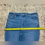 American Eagle  AE BFF Jegging size XL 20, 22, 24 extra short Luxe Stretch NEW Photo 2
