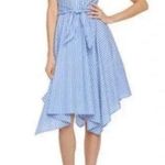 Ivy & Blue Striped Button Front Collared Shirt Dress (Sz 14) Blue & White Cotton Photo 0