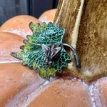 Vintage Plique Photo 0