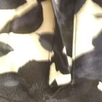 Eliane Rose FINAL MARKDOWN  slacks 18w Photo 11