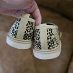 Louise et Cie  Photo 7