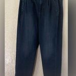Eileen Fisher Size 10 Jeans Organic Cotton Paperbag Skinny Tapered Preppy Denim Photo 0