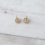 Retro Stud Earrings Photo 4