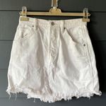 Free People Skirt Photo 0