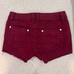 Wall Flower Denim Shorts Photo 1