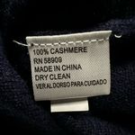 Alex Marie V Neck Sweater 100% Cashmere Elevated Basic Cozy Womens Medium Photo 5