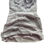 Saylor Lace Dress Photo 4