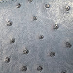 Kate Spade Neda Alexander Avenue Blue Ostrich Zip Around Wallet Clutch Photo 6