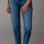 American Eagle Strigid Curvy Mom Jeans Photo 0