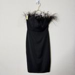 LPA NWT Revolve Aurora Black Feather Trim Strapless Dress Cocktail Party Size XS Photo 4