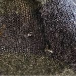 Lucky Brand NWT Camo Soft Sweatshirt Small Photo 5