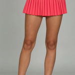 Gold Hinge Skirt Photo 0