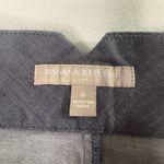 Banana Republic  Navy Skirt Size 6 Photo 2