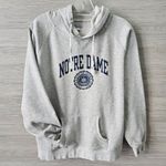 Champion Sweatshirt Vintage Jr XL Notre Dame Fighting Irish Hoodie Gray Academia Photo 2
