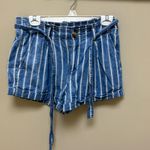 American Eagle shorts Photo 0