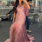 Prom Dresss Pink Size 00 Photo 2