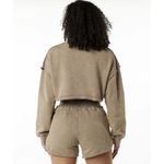 Alphalete  Women's Terry Oversized Crop Pullover - Smockey Quartz , Size Small Photo 1