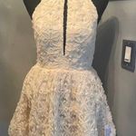 ASOS NWOT- Luxe 3D floral halter Dress Photo 0