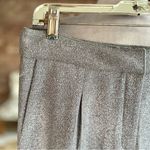 She & Sky Silver Grey Shimmer Anke Pants NWT 8 Photo 4