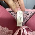 Jessica Simpson Pink Floral Lace Mesh Sheer Lined Wired Camisole 3X Photo 1