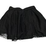Chic Black Mesh Skater Skirt Photo 1