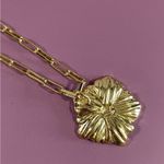 BaubleBar NEW  Gold Floral Pendant Necklace Photo 1