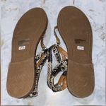 American Eagle America Eagle a outfitters Snake Print Sandals Size 7.5M Photo 2