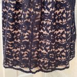 Ivy+blu black lace roses fit and flare sleeveless dress. Nude lining.Size10.NWOT Size 10 Photo 6