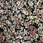 Vintage 80s Energie Bi Currants Floral Button Front Romper Size Small Black Photo 7